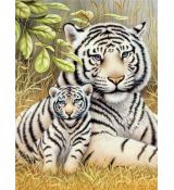 Malování podle čísel od Royal & Langnickel - Bílí tygři