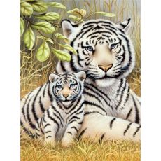 Malování podle čísel od Royal & Langnickel - Bílí tygři