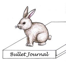 Sada pro výrobu Bullet Journalu - Králík v pytli