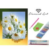 Diamantové malování 30x40 cm