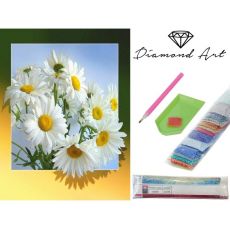 Diamantové malování 30x40 cm